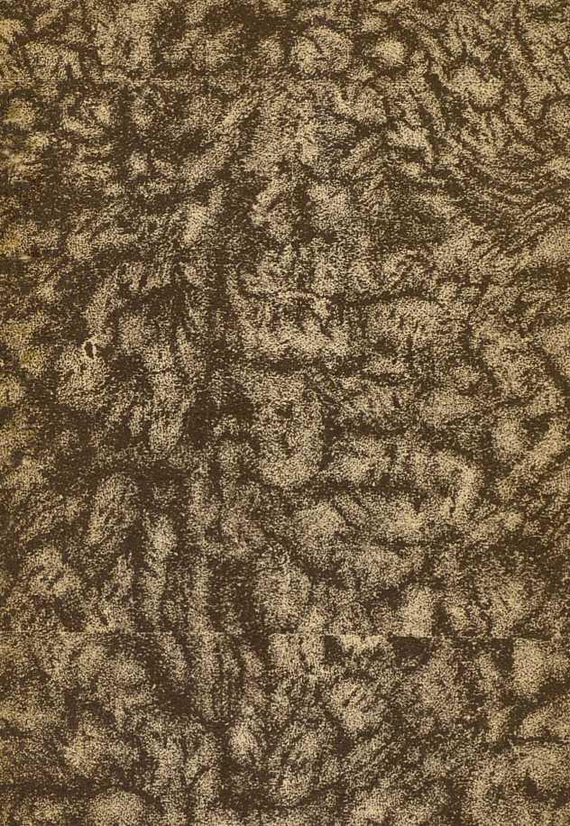 Нос 1886 Совр орф - изображение 1