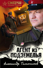 Александр Тамоников: Агент из подземелья