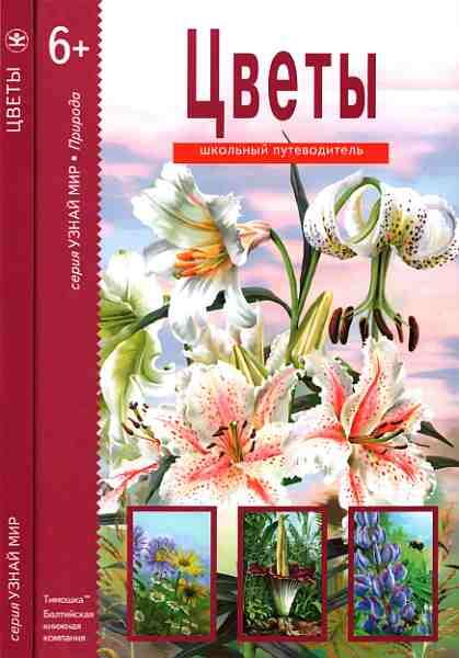 ru ru Izekbis Book Designer 50 FictionBook Editor Release 267 09082017 - фото 1