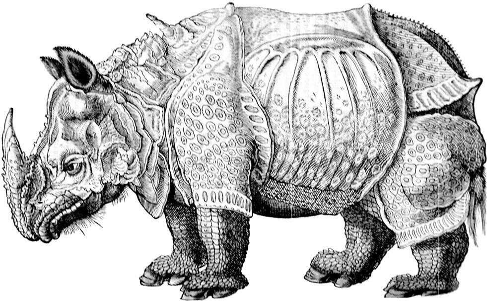 Аристотель не знал о носорогах но его ученик Александр Македонский прислал - фото 12