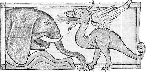 Виверна двуногий дракон знакомится с изумленным слоном Как видно - фото 27