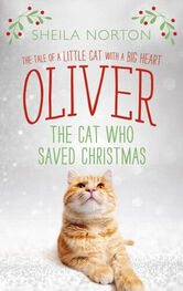 Шейла Нортон: Oliver The Cat Who Saved Christmas