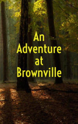 Амброз Бирс An Adventure at Brownville