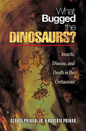 Джордж Пойнар: Кто кусал динозавров?