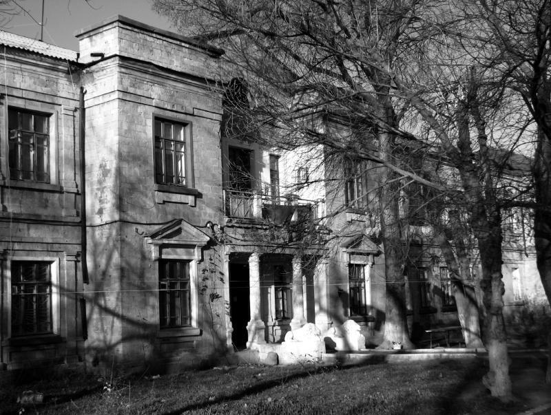 Дом офицеров знаменитый Дом со львами Курсанты у ангара 1924 г - фото 9