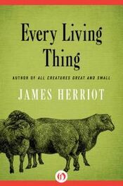 Джеймс Хэрриот: Every Living Thing