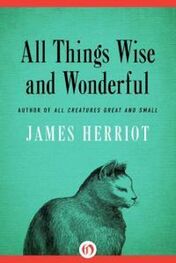 Джеймс Хэрриот: All Things Wise and Wonderful