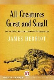 Джеймс Хэрриот: All Creatures Great and Small
