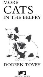 Дорин Тови: More Cats in the Belfry