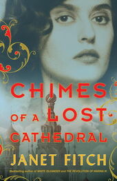 Джанет Фитч: Chimes of a Lost Cathedral