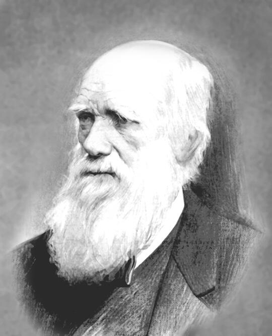 Даже англичанин Чарлз Дарвин 18091882 опередивший свою эпоху уделял - фото 10