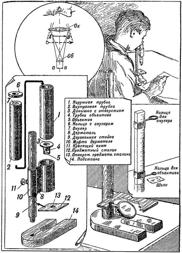 Таблица 2 Микроскоп Схема действия микроскопа С помощью объектива - фото 3
