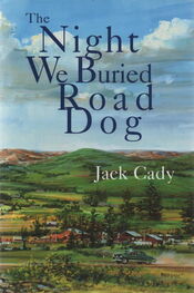 Джек Кейди: The Night We Buried Road Dog