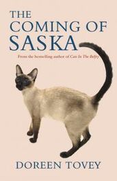 Дорин Тови: The Coming Of Saska