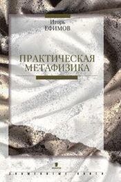 Игорь Ефимов: Практическая метафизика
