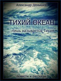 Александр Дёмышев: Тихий океан… лишь называется тихим