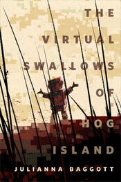 Джулиана Бэгготт: The Virtual Swallows of Hog Island