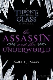 Сара Маас: Убийца и подземный мир (ЛП)