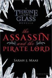 Сара Маас: Убийца и пиратский лорд (ЛП)