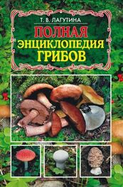 Татьяна Лагутина: Полная энциклопедия грибов