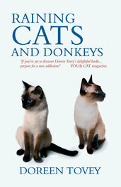 Tovey, Doreen: Raining Cats and Donkeys