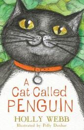 Холли Вебб: A Cat Called Penguin