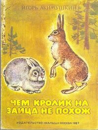 Игорь Акимушкин: Чем кролик на зайца не похож