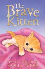 Холли Вебб: The Brave Kitten