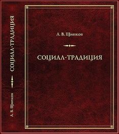 Александр Щипков: Социал-­традиция
