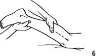 Кисть руки массажиста должна плотно обхватывать массируемую поверхность рис - фото 8