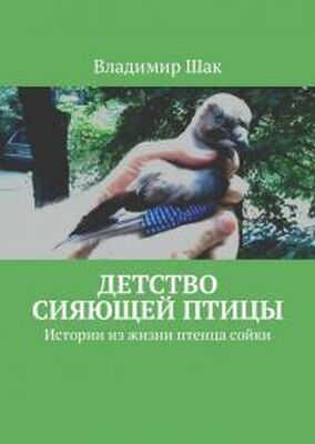 Владимир Шак Детство сияющей птицы. Истории из жизни птенца сойки