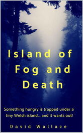 Дэвид Уоллес: Island of Fog and Death