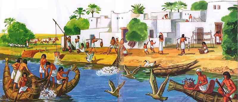 Нил испокон веков кормил египтян Наконец в долине Нила сложились два больших - фото 6