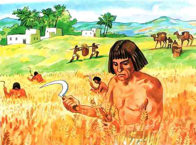 В долине Нила хорошо родится пшеница В Раннем царстве правило всего две - фото 8