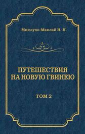 Николай Миклухо-Маклай: Путешествия на Новую Гвинею (Дневники путешествий 1874—1887). Том 2