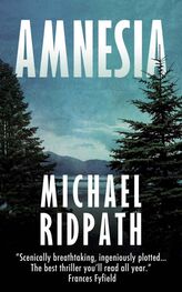 Michael Ridpath: Amnesia