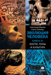Александр Марков: Эволюция человека. Книга 3. Кости, гены и культура