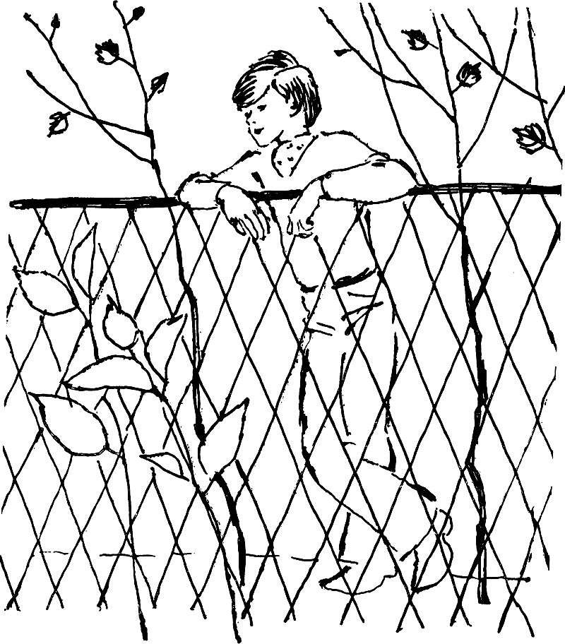 Алюн висел на заборе и смотрел в большие окна спортивного зала где танцевали - фото 2