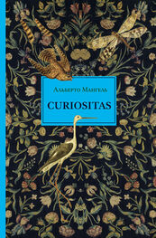 Альберто Мангель: Curiositas. Любопытство