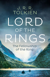 J. tolkien: The Fellowship of the Ring