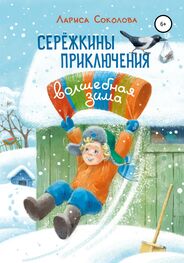 Лариса Соколова: Сережкины приключения. Волшебная зима