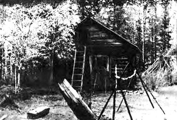 За прошедшие годы вокруг избы поднялся молодой лес Снимок сделан в 1958 году - фото 30