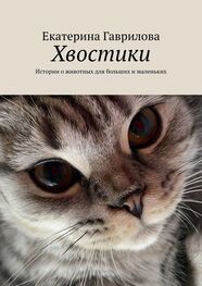 Екатерина Гаврилова: Хвостики. Истории о животных для больших и маленьких