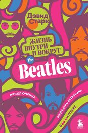 Дэвид Старк: Жизнь внутри и вокруг the Beatles. Приключения подростка-битломана в 60-е и позже