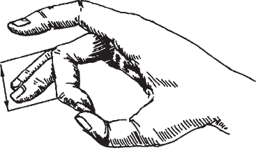 Соответственно поперечный размер ногтевых фаланг II и III пальцев вместе равен - фото 34