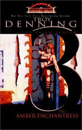 Troy Denning: The Amber Enchantress