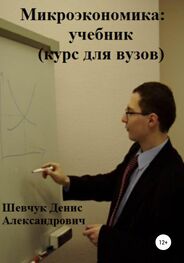 Денис Шевчук: Микроэкономика: учебник (курс для вузов)