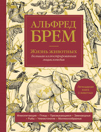 Альфред Эдмунд Брэм: Жизнь животных. Большая иллюстрированная энциклопедия