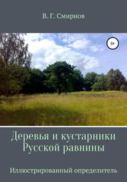 Виктор Смирнов: Деревья и кустарники Русской равнины