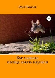 Олег Пугачев: Как мышата птенца летать научили